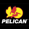 Pelican